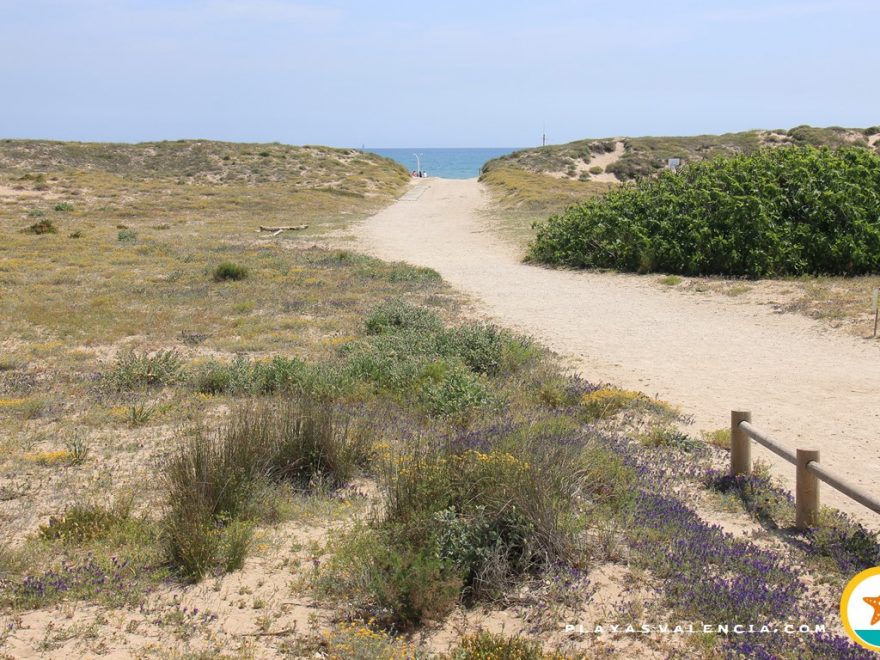 Ahuir S Beach Gandia County Valencia